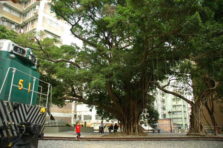 Hong Kong Railway Museum Trip Packages
