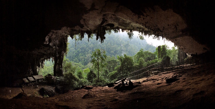 Niah Caves Trip Packages