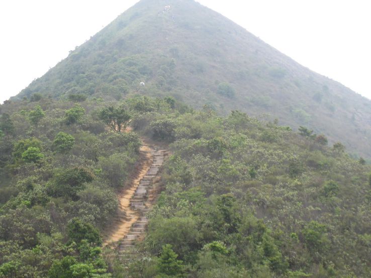 Grassy Hill Trip Packages