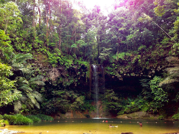 Lambir Hills National Park Trip Packages