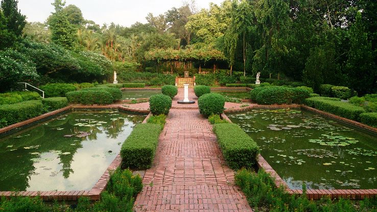 Singapore Botanic Gardens Trip Packages