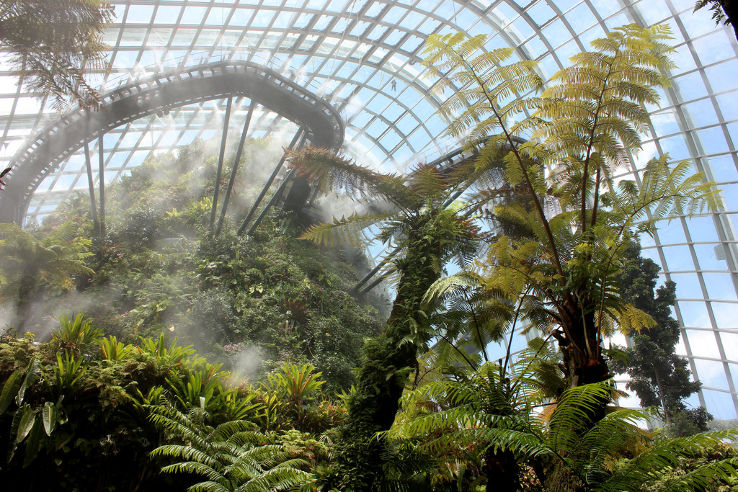 Cloud Forest Trip Packages