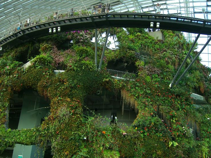 Cloud Forest Trip Packages