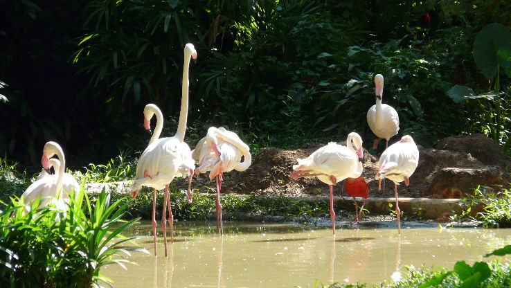 Beautiful 3 Days Singapore Vacation Package