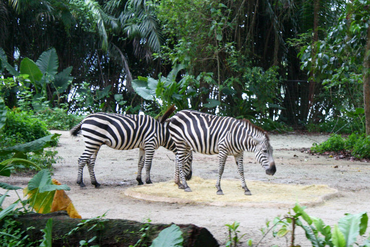 Singapore & Malaysia Package