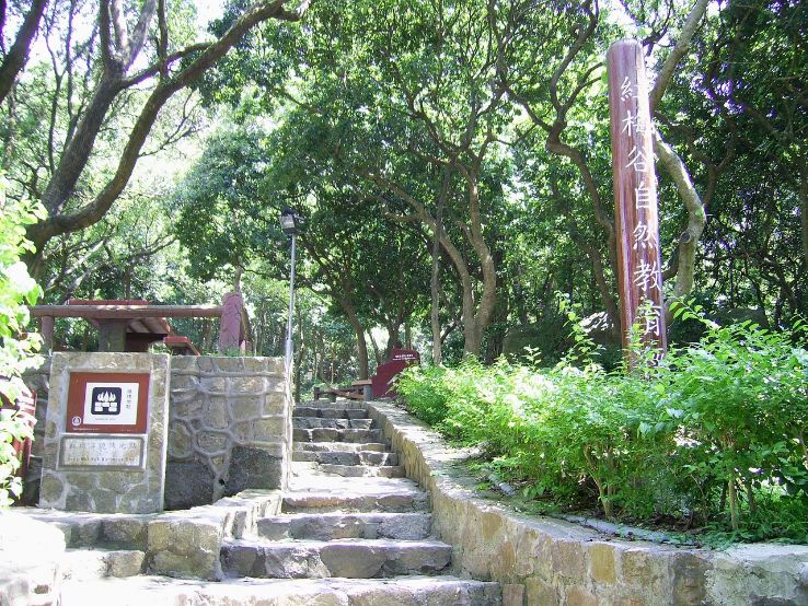 Lion Rock Country Park Trip Packages