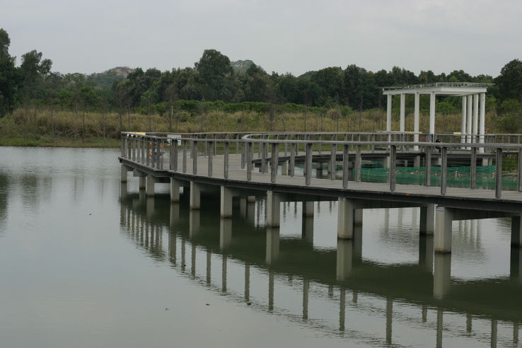 Hong Kong Wetland Park Trip Packages