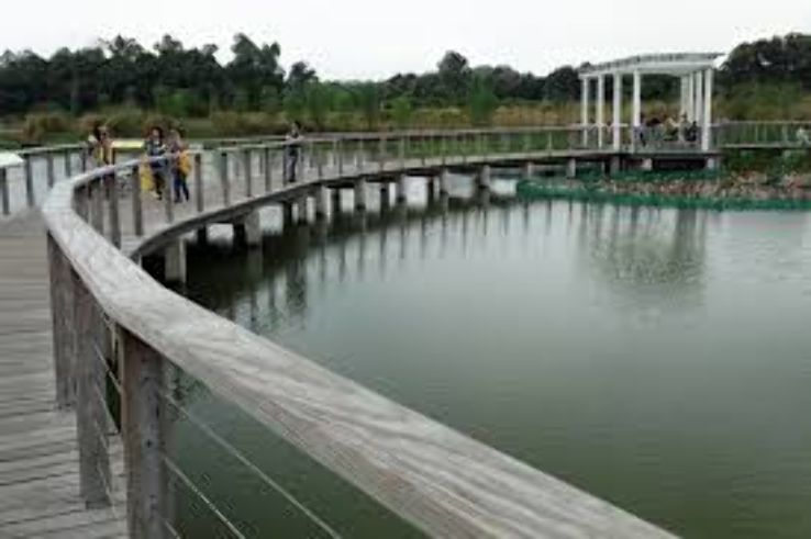 Hong Kong Wetland Park Trip Packages