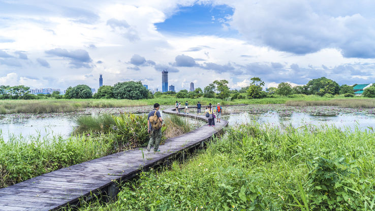 Mai Po Marshes Trip Packages