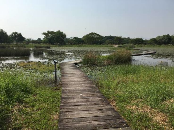 Mai Po Marshes Trip Packages