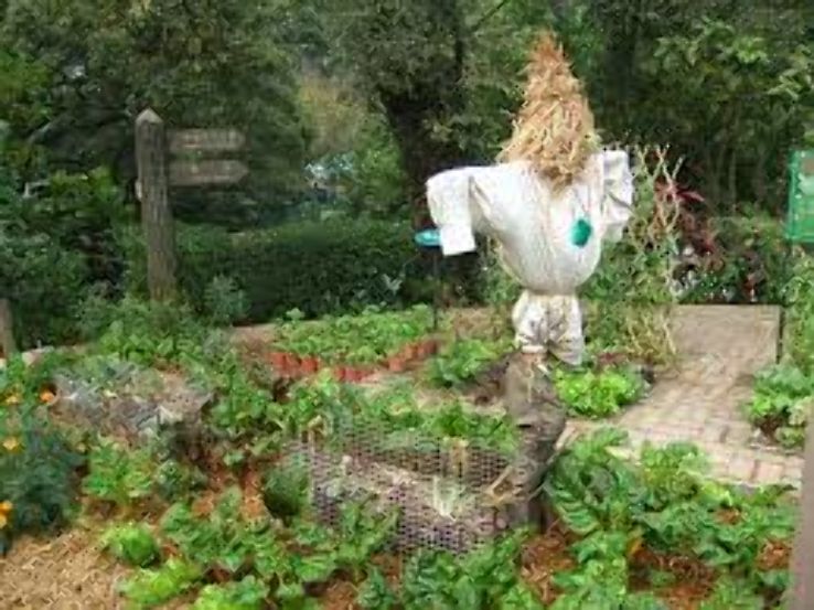 Kadoorie Farm and Botanic Garden Trip Packages