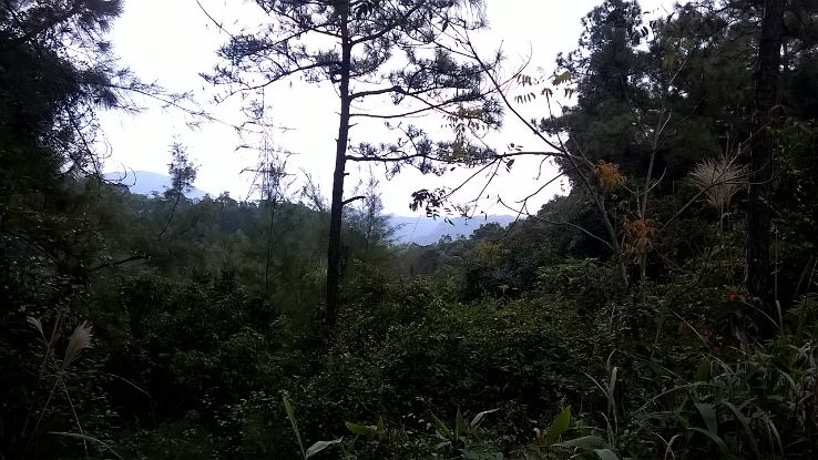 Tai Lam Country Park Trip Packages