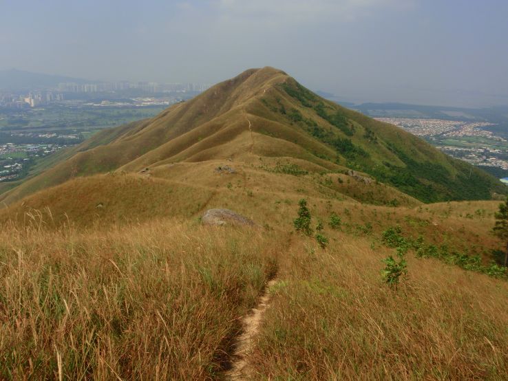 Lam Tsuen Country Park Trip Packages