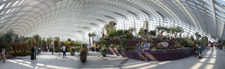 Flower Dome Trip Packages
