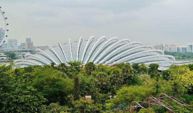 Flower Dome Trip Packages