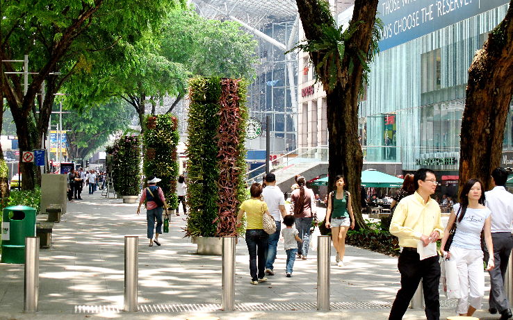 Orchard Road Trip Packages