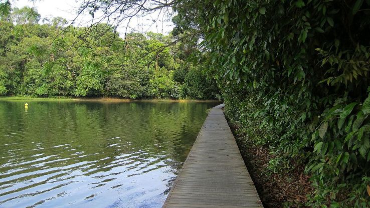 MacRitchie Reservoir Trip Packages