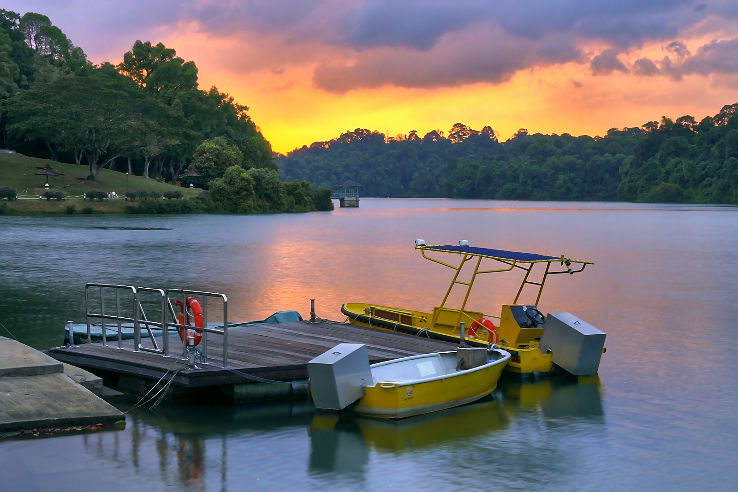 MacRitchie Reservoir Trip Packages