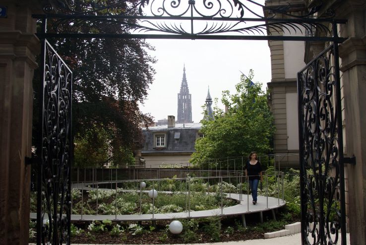 Tomi Ungerer Museum Trip Packages