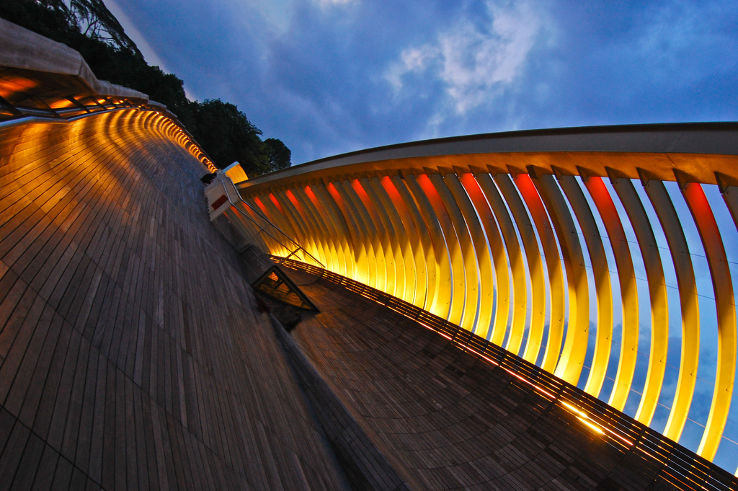 Henderson Waves  Trip Packages