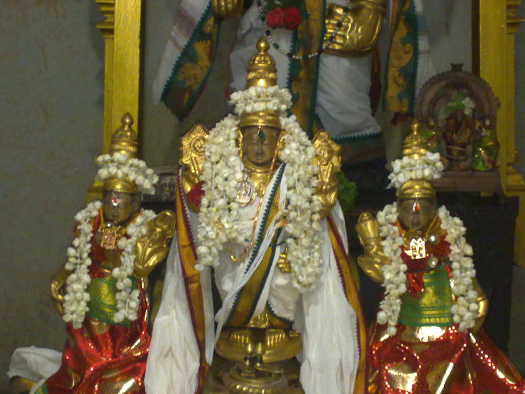 Sri Srinivasa Perumal Temple Trip Packages