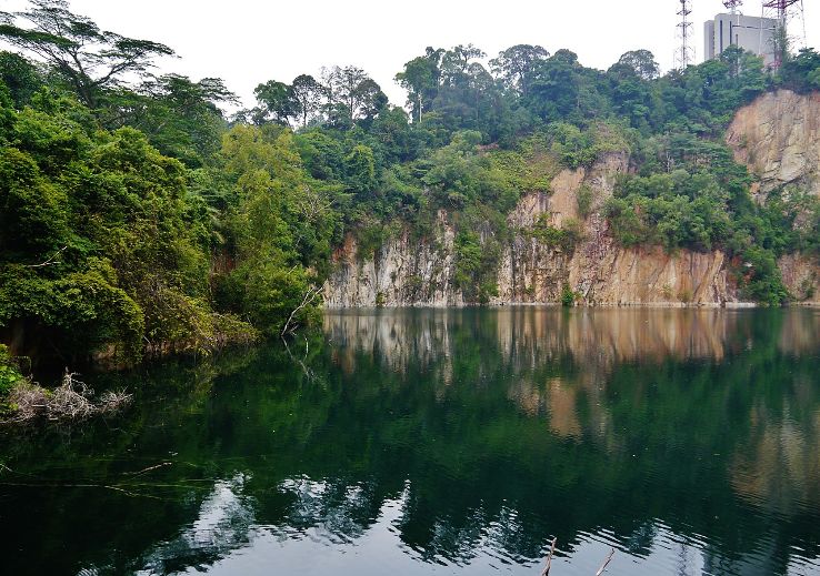 Bukit Timah Nature Reserve Trip Packages