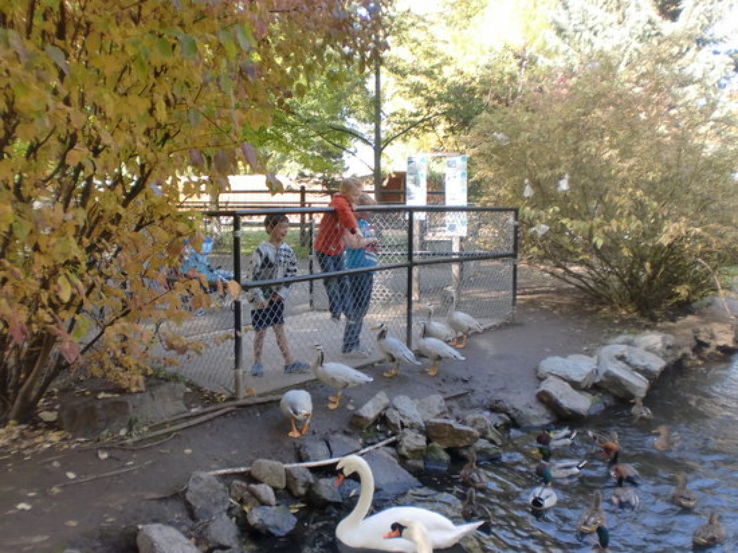 Zootah at Willow Park Trip Packages