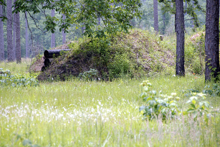 Blakeley Trip Packages