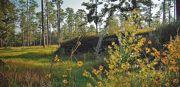 Blakeley Trip Packages