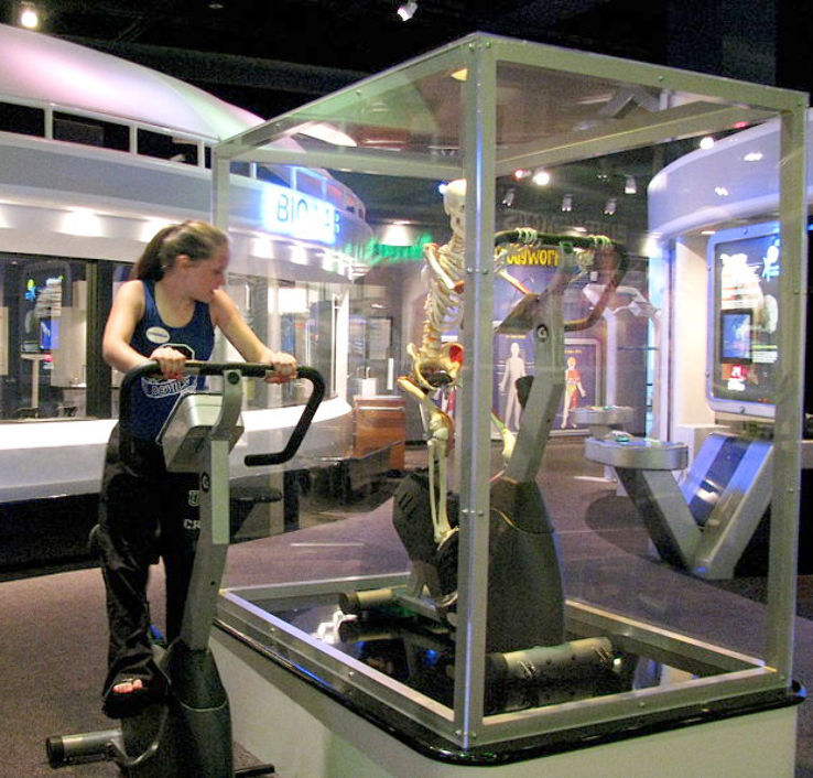 Gulf Coast Exploreum Science Center Trip Packages