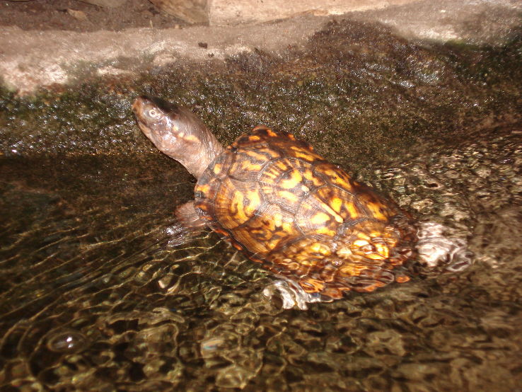 The Dauphin Island Sea Lab Trip Packages