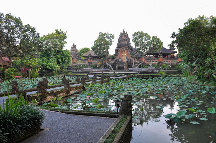 Pura Taman Saraswati Trip Packages