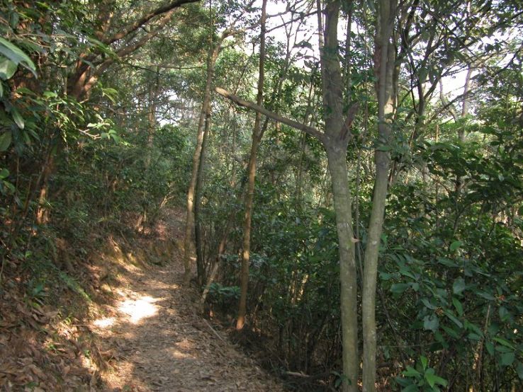 Kau Nature Reserve Trip Packages