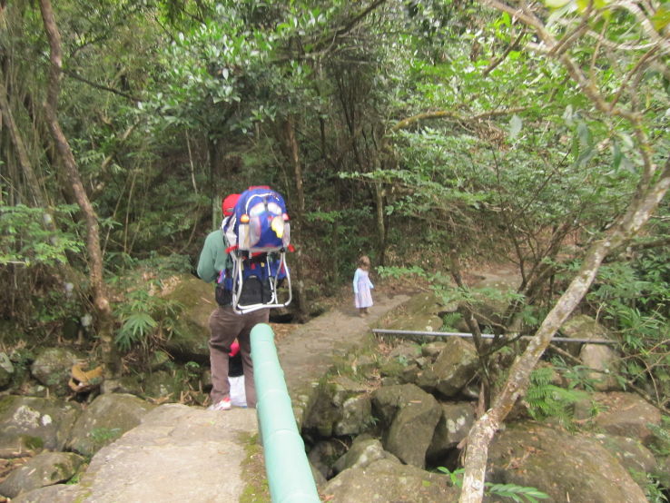 Kau Nature Reserve Trip Packages