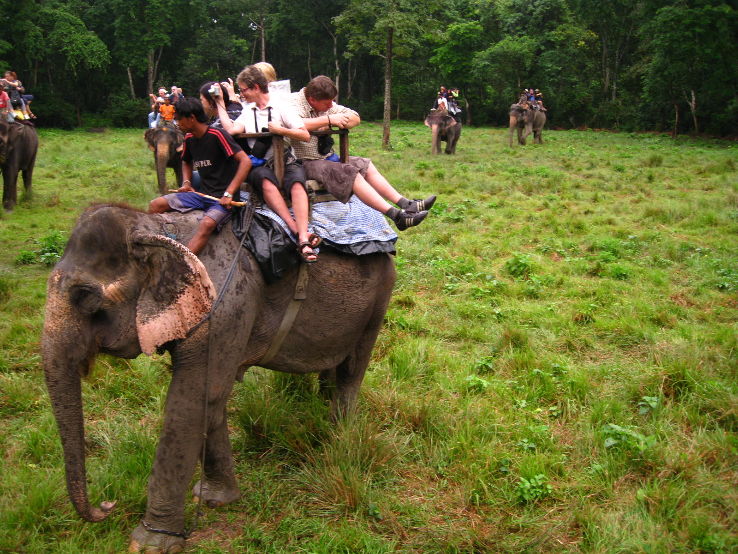 Chitwan National Park Wildlife Safari Trip Packages