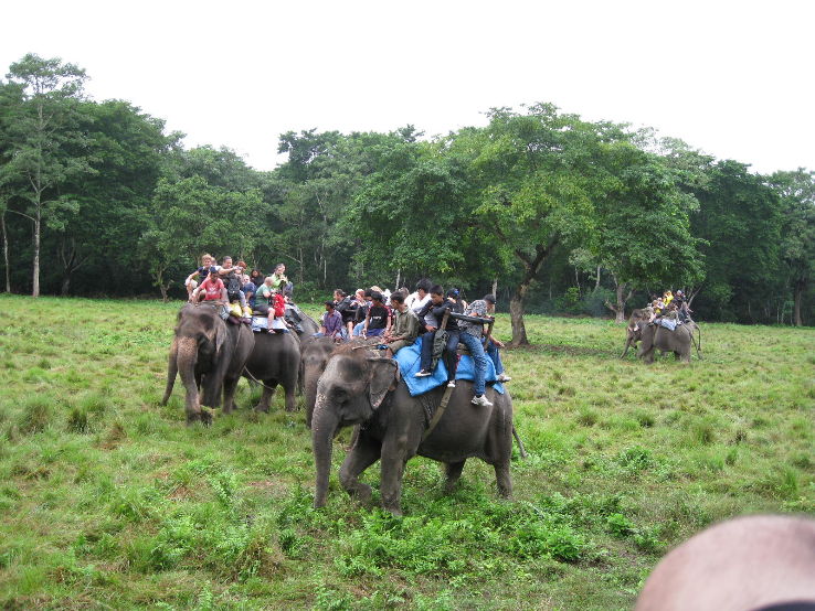 Chitwan National Park Wildlife Safari Trip Packages