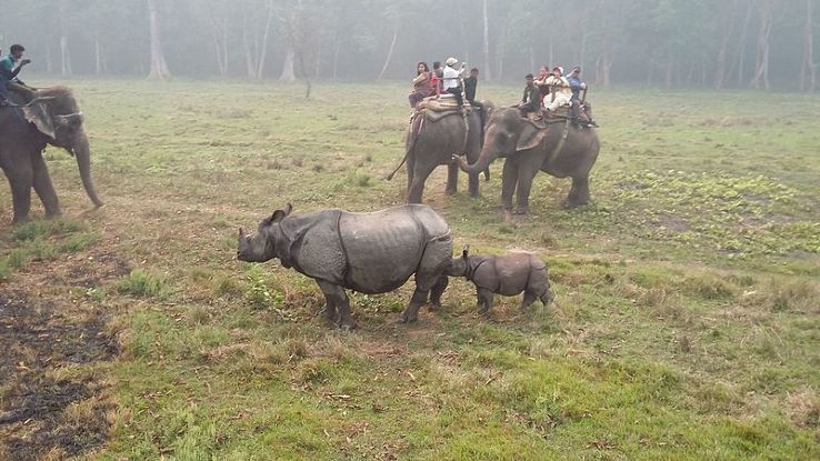 Chitwan National Park Wildlife Safari Trip Packages