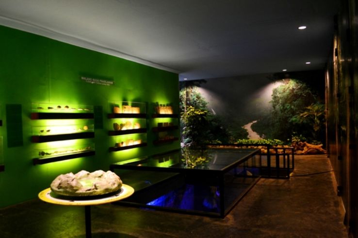 Museum Malang Tempo Doeloe Trip Packages