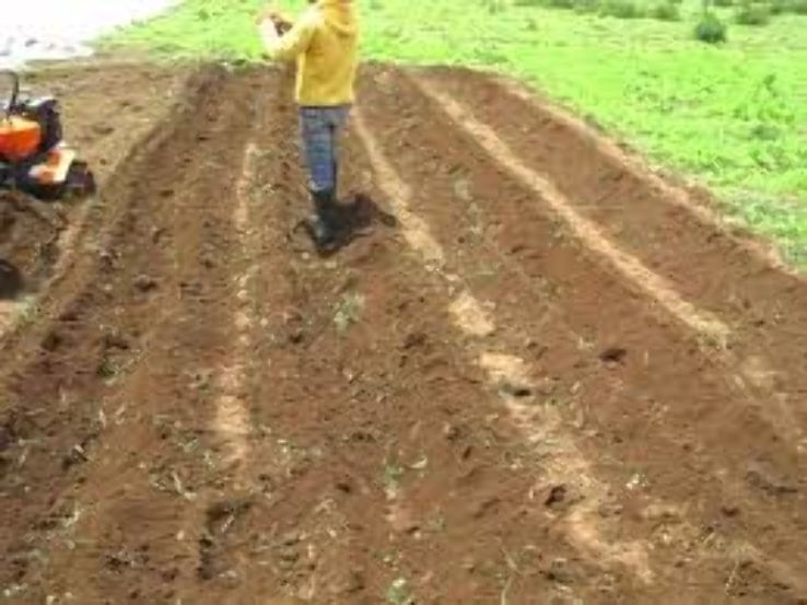 Griffith Observatory Trip Packages