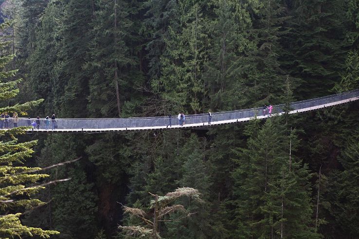 Capilano suspension bridge Trip Packages
