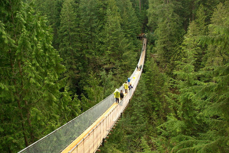 Capilano suspension bridge Trip Packages
