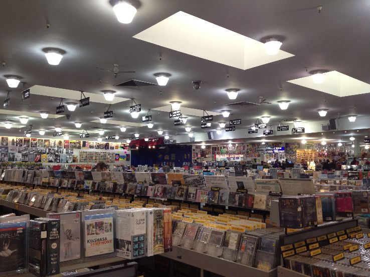 Amoeba Music Trip Packages