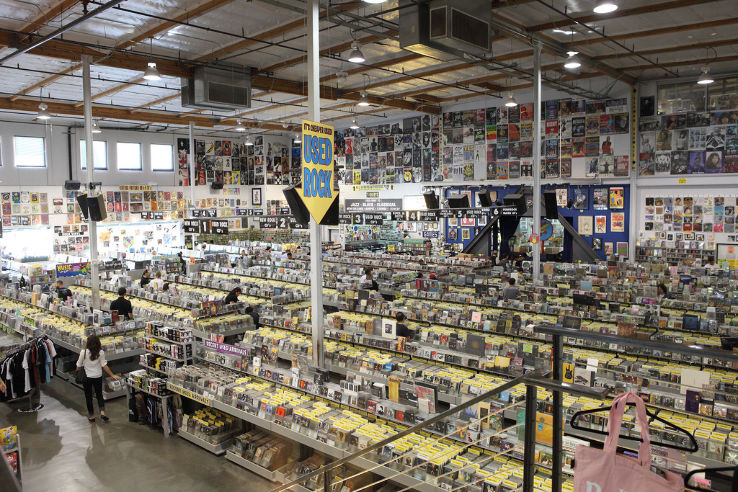 Amoeba Music Trip Packages