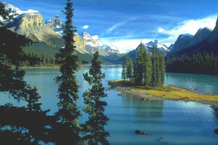 Maligne Lake Trip Packages