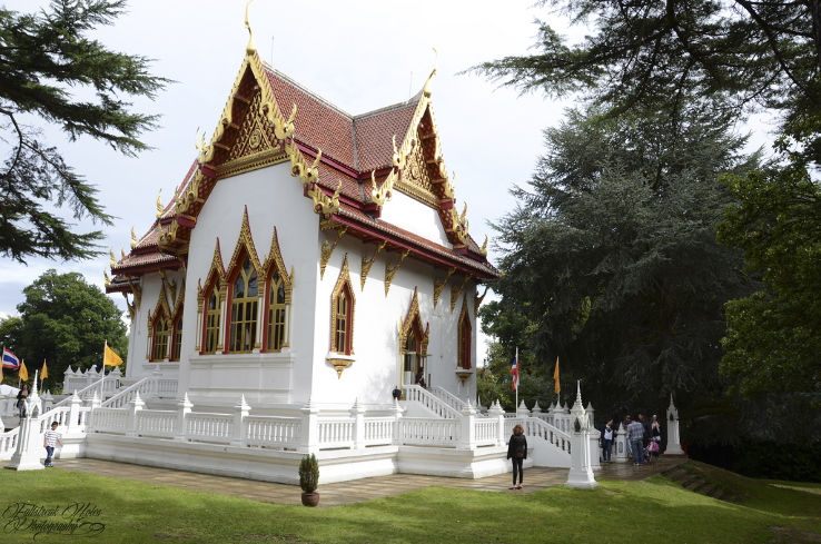 Wat Buddhapadipa Trip Packages