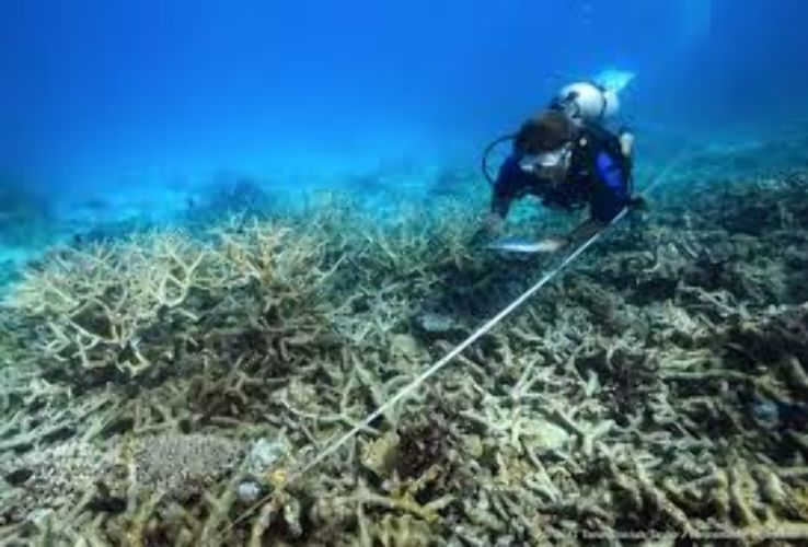  Great Barrier Reef Trip Packages