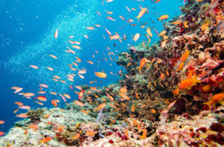  Great Barrier Reef Trip Packages