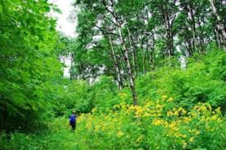 Clump Mountain National Park Trip Packages