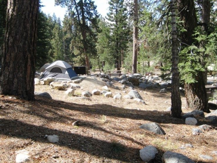 Lodgepole Campground  Trip Packages