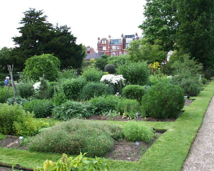 Chelsea Physic Garden Trip Packages